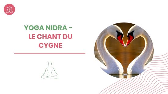 Yoga Nidra - Le chant du cygne